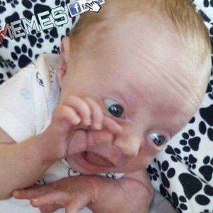 Meet your Posher, Wendy